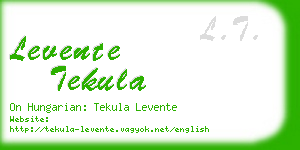 levente tekula business card